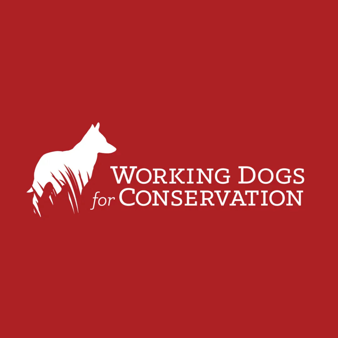 Working Dogs for Conservation - For the Animals - Donation - POUTEE
